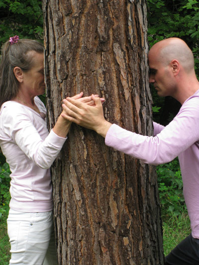 alberi e luce il soffio vitale