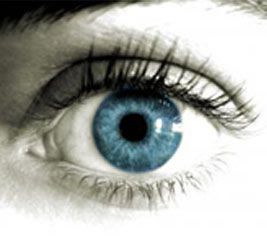 iridologia