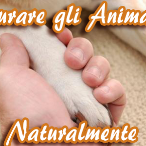 curare_gli_animali_naturalmente