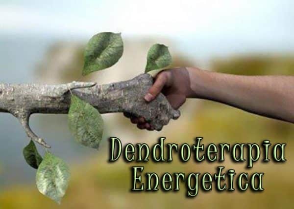 dendroterapia energetica