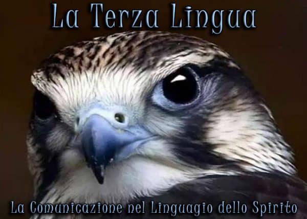 la_terza_lingua