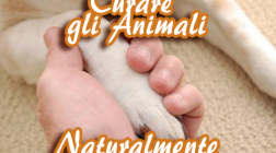 Curare gli Animali Naturalmente con Fiori di Bach, Aromoterapia e Reiki