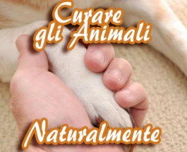 Curare gli Animali Naturalmente con Fiori di Bach, Aromoterapia e Reiki