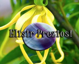 Elisir preziosi : sinergia di cristalli della medicina ayurvedica in oli essenziali purissimi del madagascar