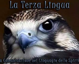 La Terza Lingua: la comunicazione nel linguaggio dello Spirito. Una ipercomunicazione.