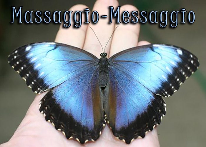 Massaggio Messaggio: massaggio a tocco lieve, reiki e nada yoga