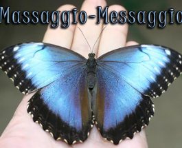 Massaggio Messaggio: massaggio a tocco lieve, reiki e nada yoga